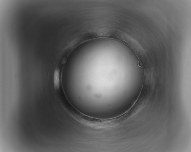 X0000102380028200808081146