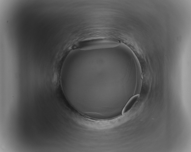 X0000102380031200808081146