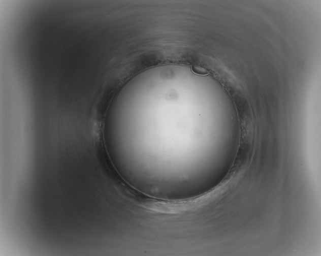 X0000102380033200808081146