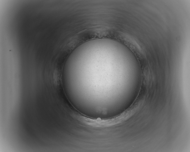 X0000102380034200808081146