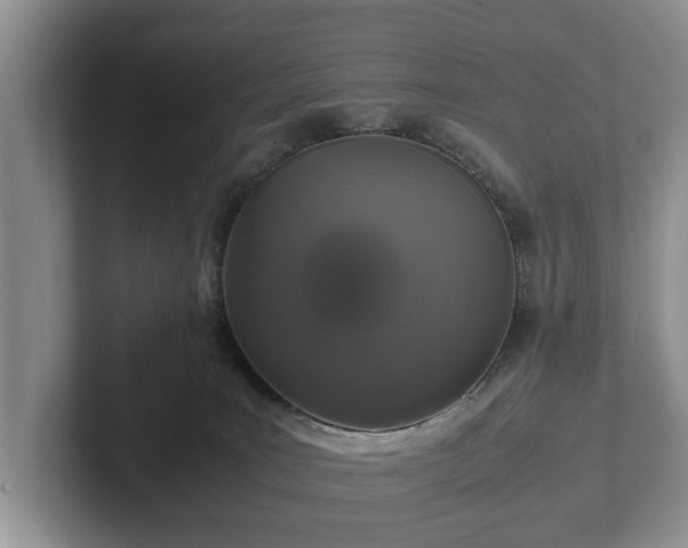 X0000102380035200808081146