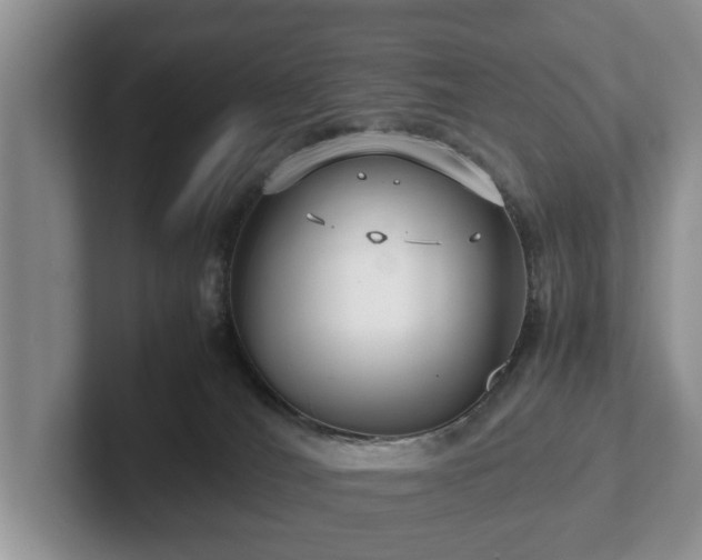 X0000102380036200808081146