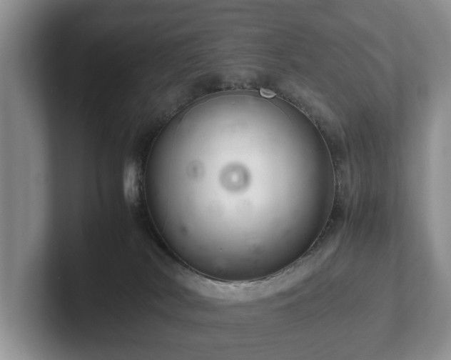 X0000102380038200808081146