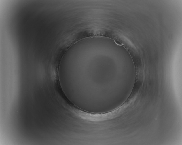 X0000102380039200808081146