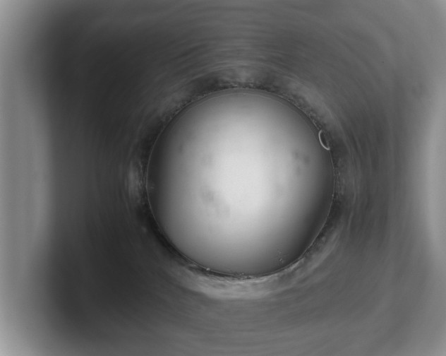 X0000102380040200808081146