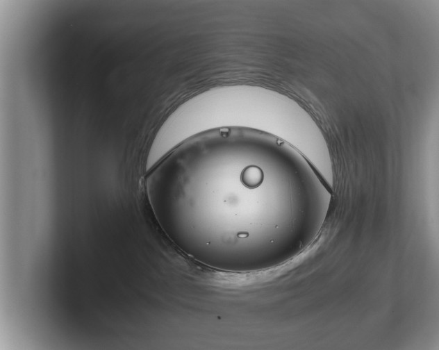 X0000102380045200808081146