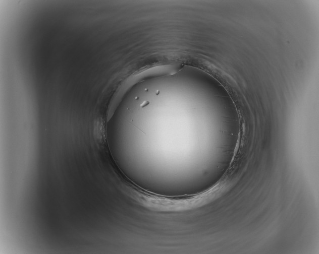 X0000102380048200808081146