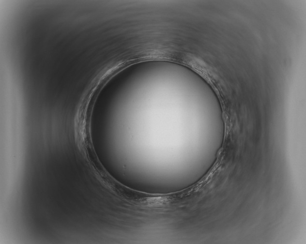 X0000102380050200808081146