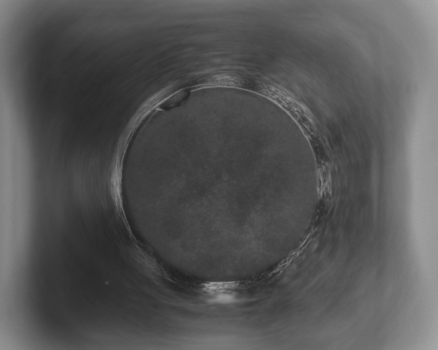 X0000102380051200808081146