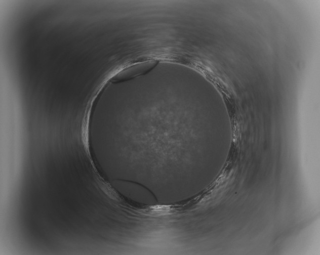 X0000102380052200808081146