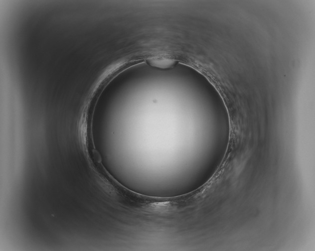 X0000102380054200808081146