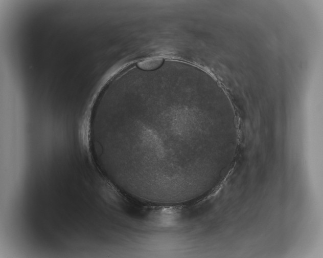 X0000102380056200808081146