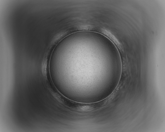 X0000102380058200808081146