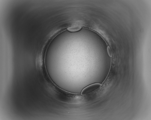 X0000102380060200808081146