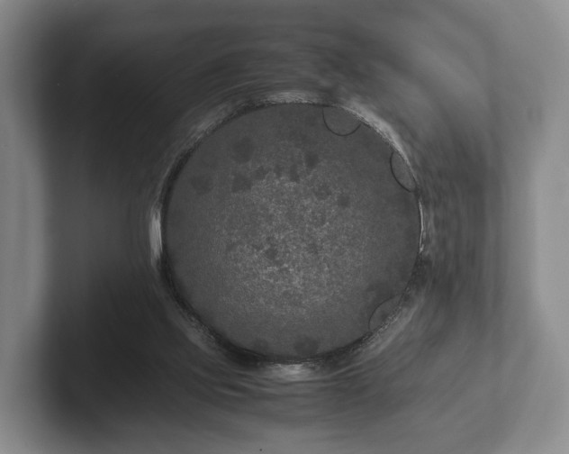 X0000102380061200808081146