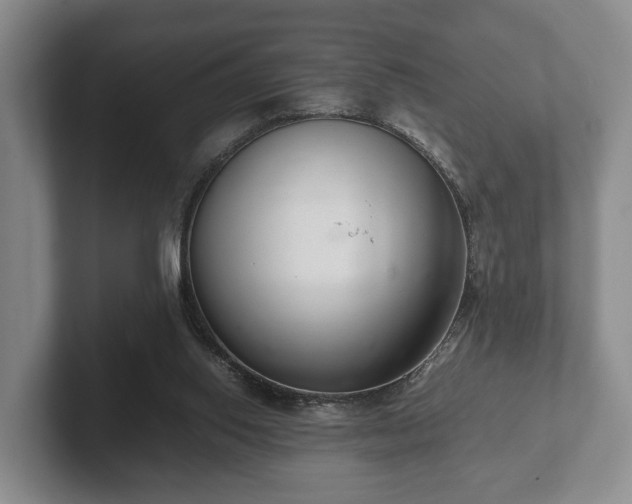 X0000102380062200808081146