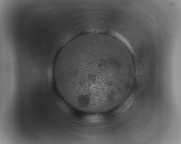 X0000102380065200808081146