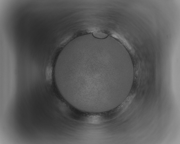 X0000102380066200808081146