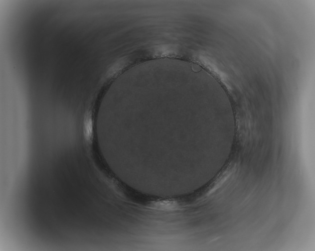 X0000102380067200808081146