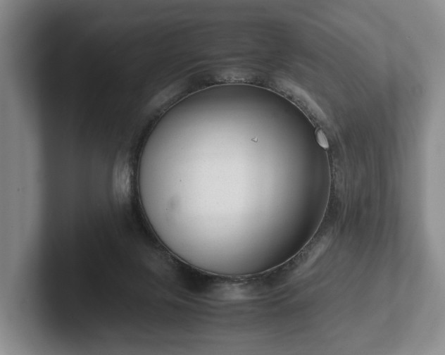 X0000102380071200808081146