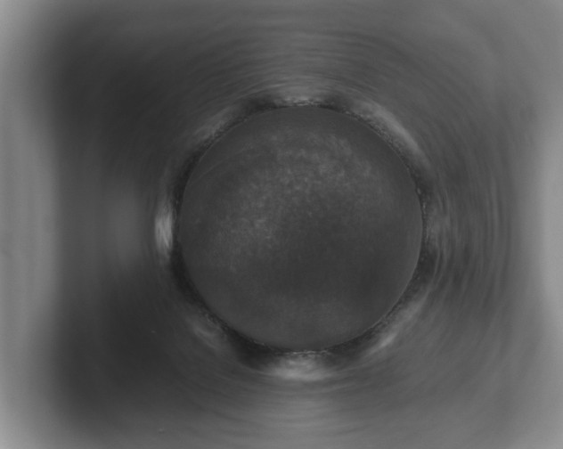 X0000102380076200808081146