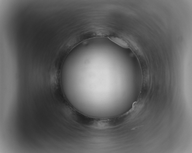 X0000102380078200808081146