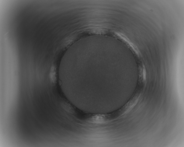 X0000102380080200808081146