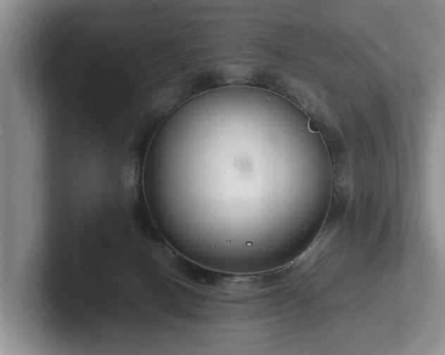 X0000102380082200808081146