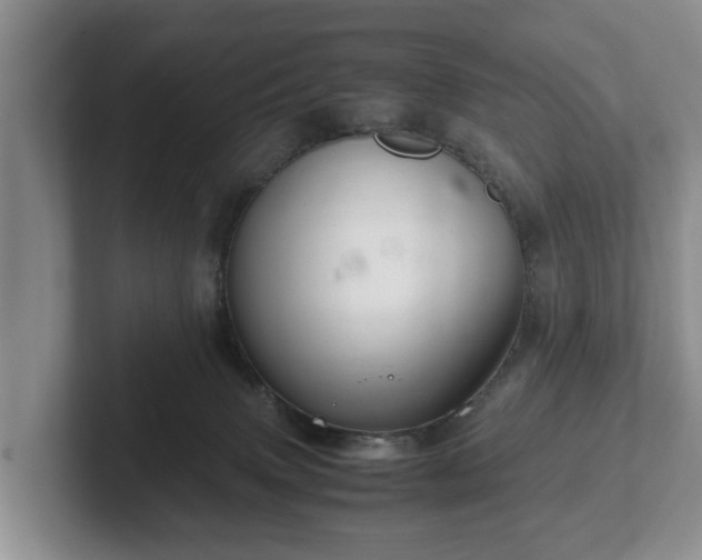 X0000102380083200808081146