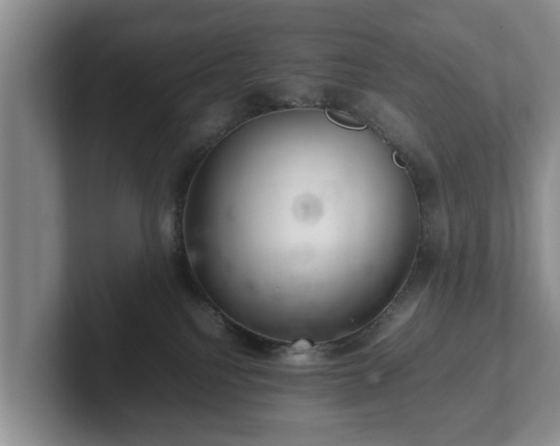 X0000102380088200808081146