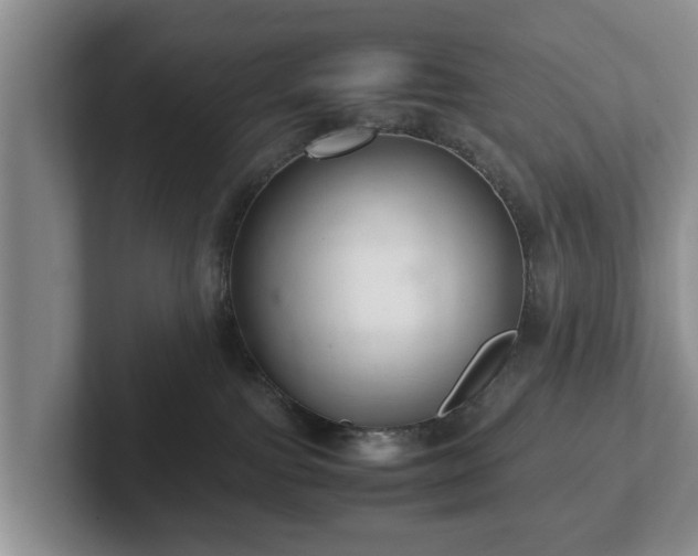 X0000102380091200808081146