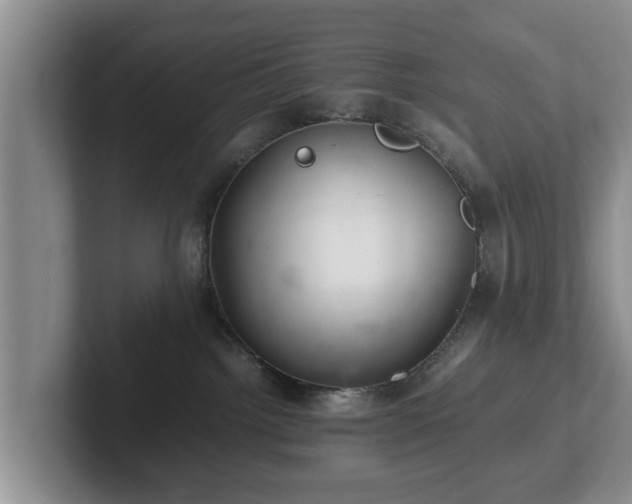 X0000102380092200808081146