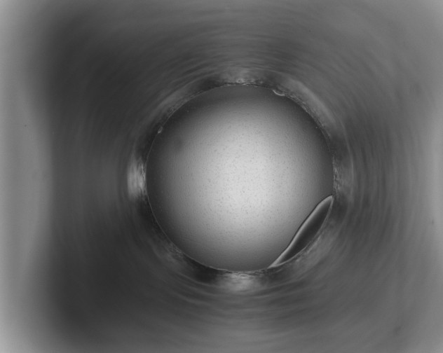 X0000102380095200808081146