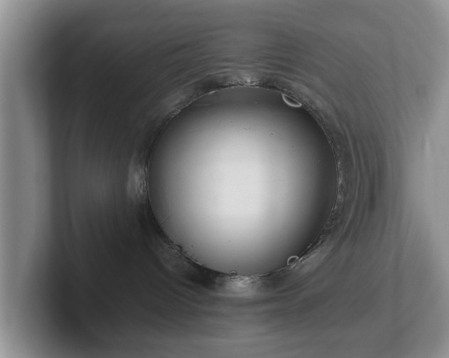 X0000102380096200808081146