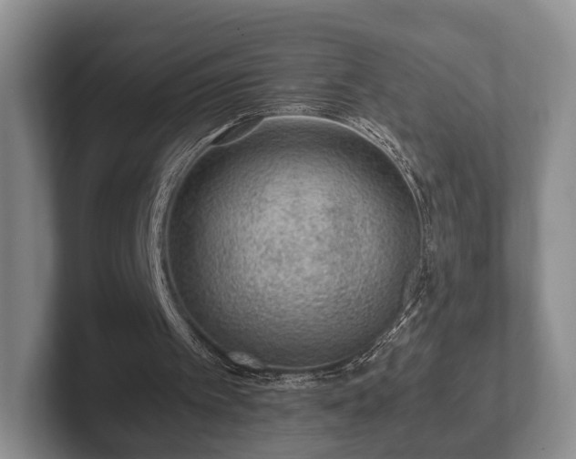 X0000102380097200808081146