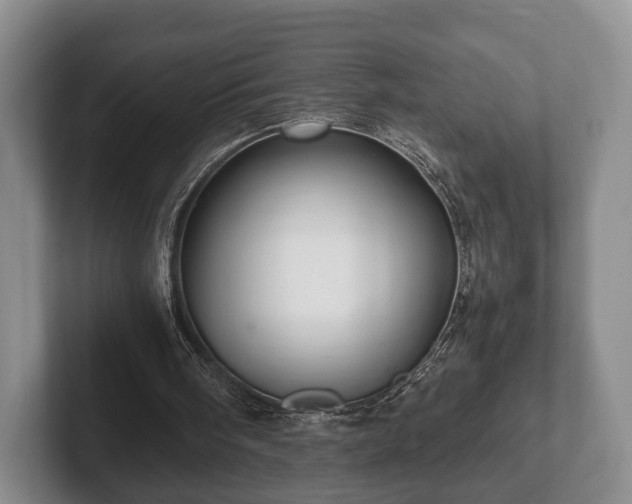 X0000102380098200808081146