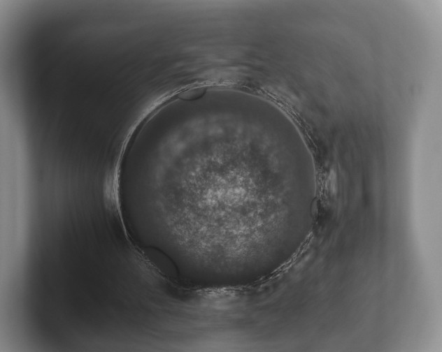 X0000102380100200808081146