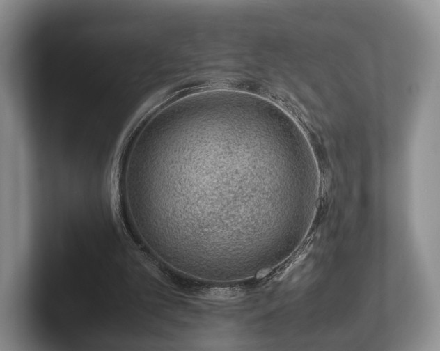 X0000102380101200808081146