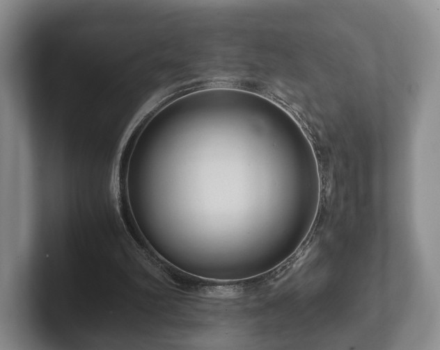 X0000102380102200808081145