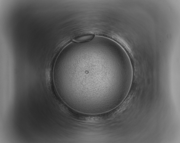 X0000102380105200808081145