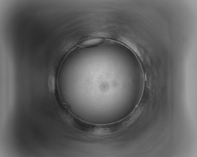 X0000102380109200808081145