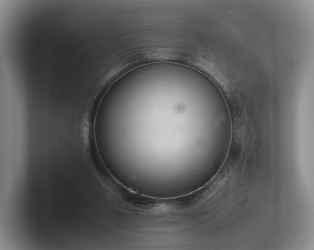 X0000102380111200808081145