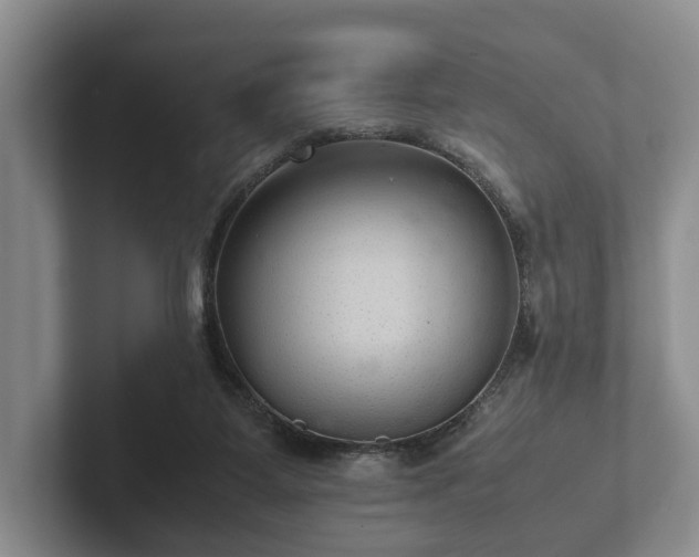 X0000102380115200808081145