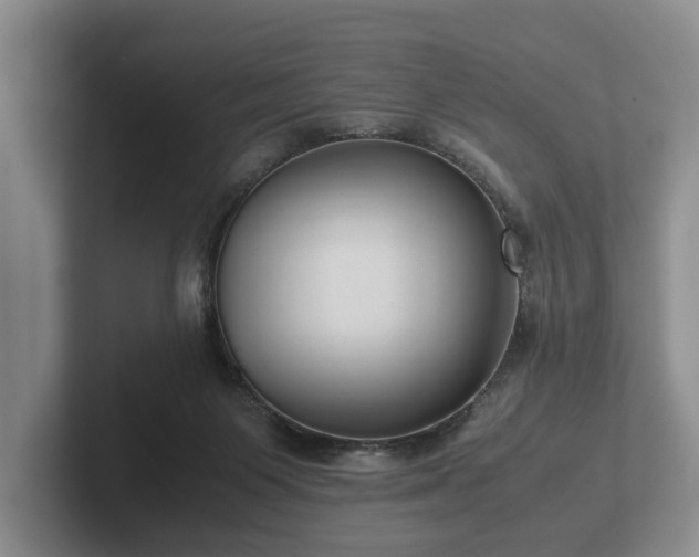 X0000102380119200808081145