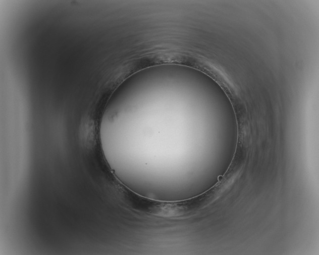 X0000102380121200808081145