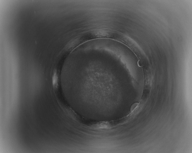 X0000102380124200808081145