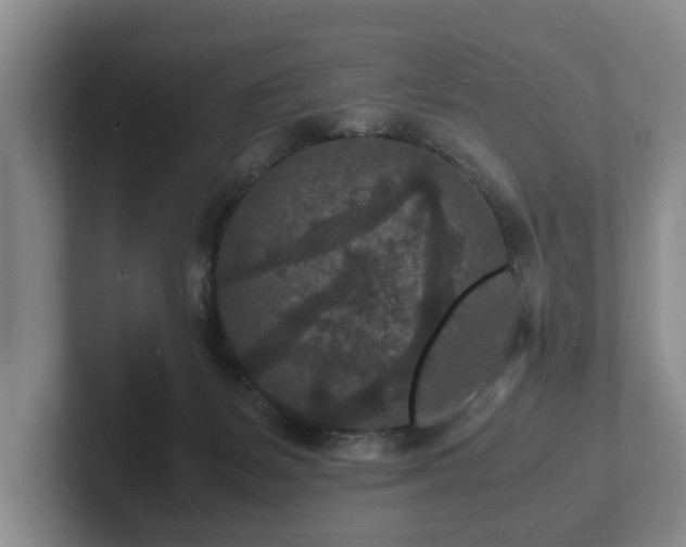 X0000102380127200808081145