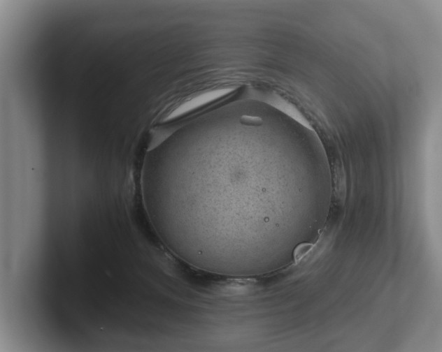 X0000102380128200808081145