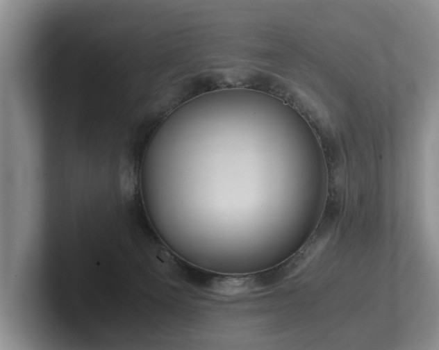 X0000102380129200808081145