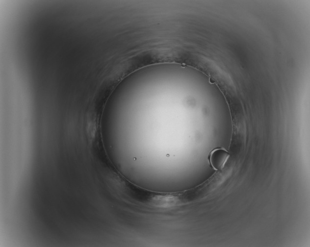 X0000102380133200808081145